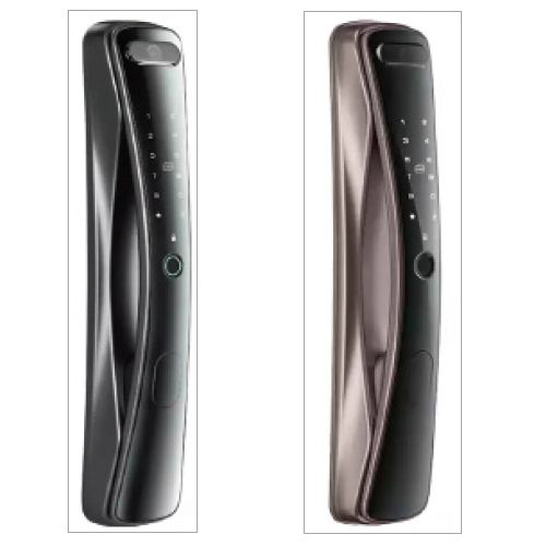Chapa Inteligente con Reconocimiento Facial 824 TUYA APP (WiFi) Gris